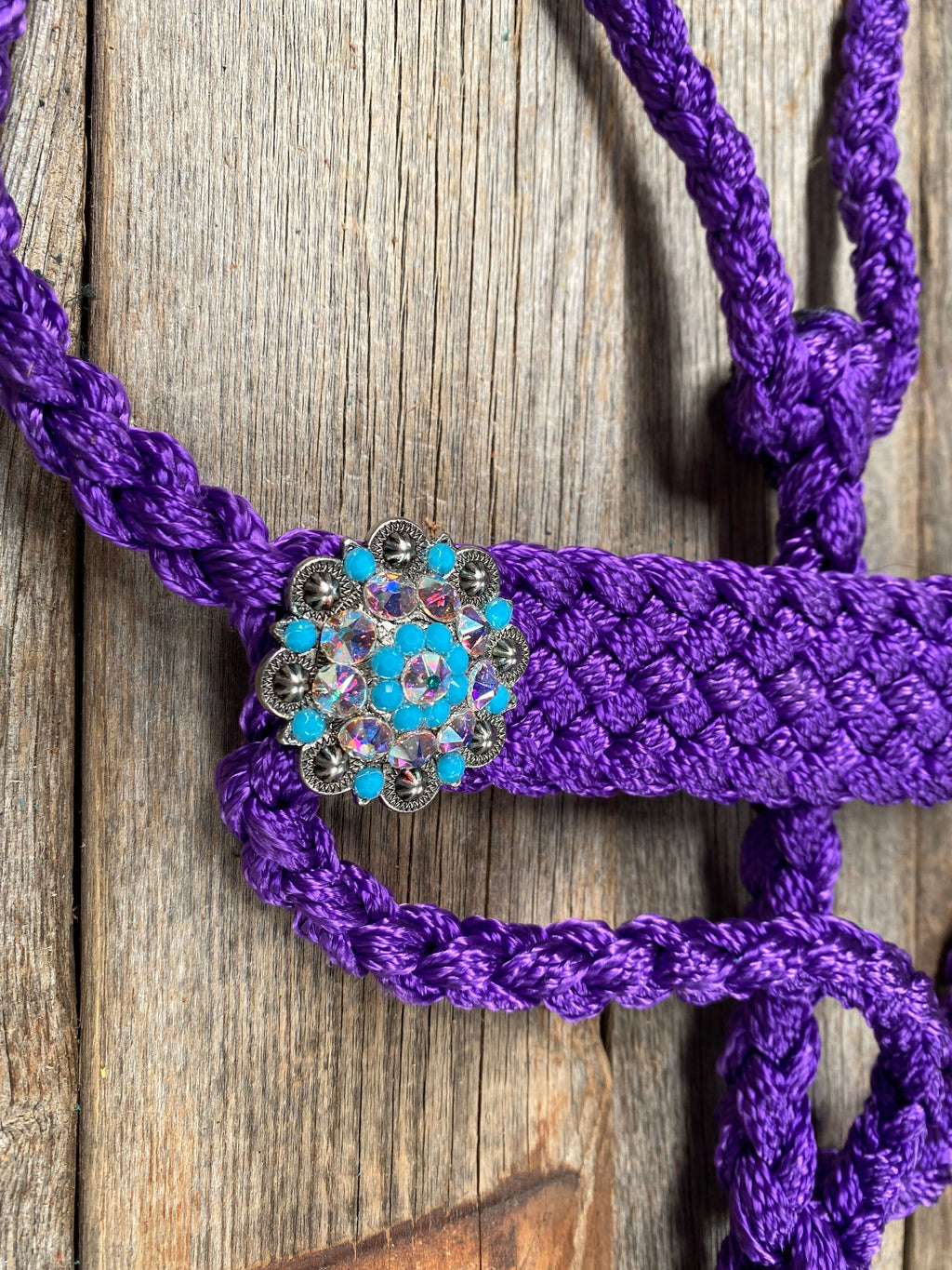 Purple Mule Tape Halter - Turquoise #MT107