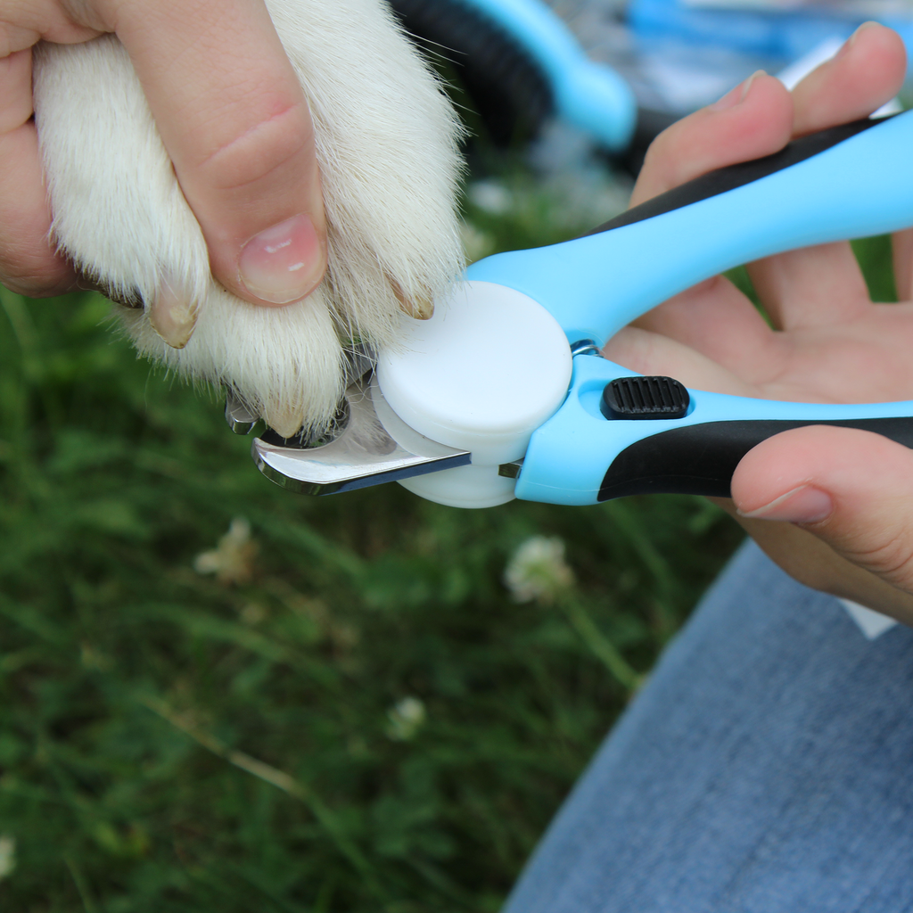 Professional Heavy Duty Pet Nail Clipper w Nail File by cuteNfuzzy