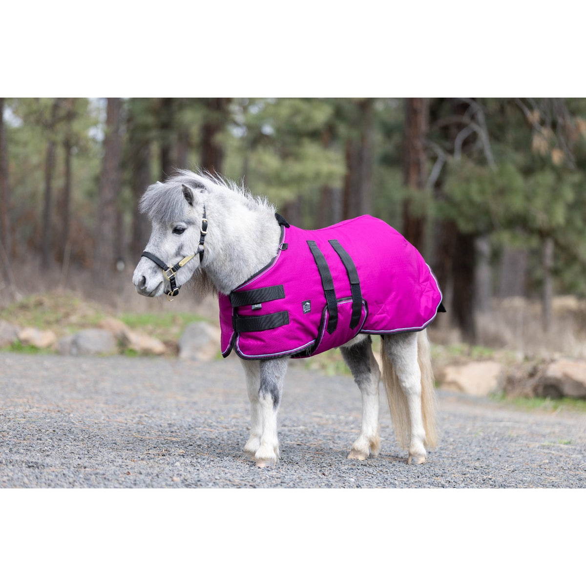 Mini 80G Light Weight Horse Winter Turnout Blanket - Waterproof & Breathable