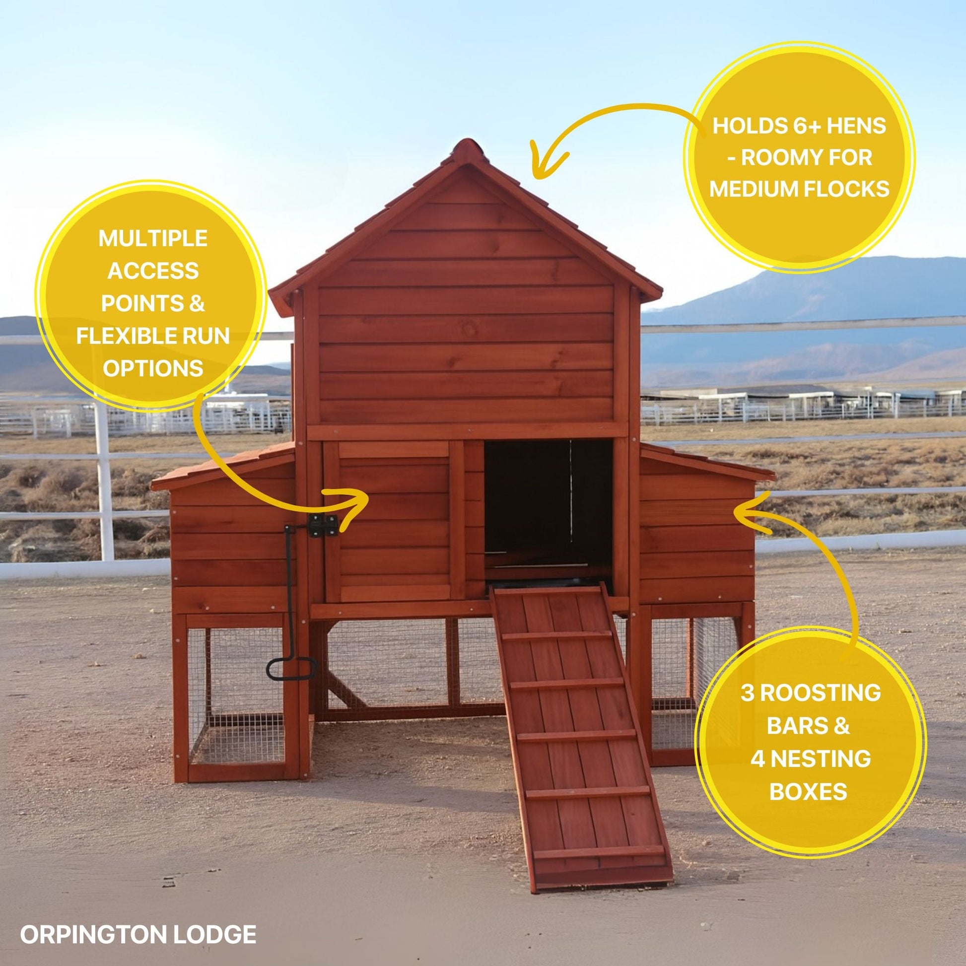 Chicken Coop for 6 Chickens – Orpington Lodge