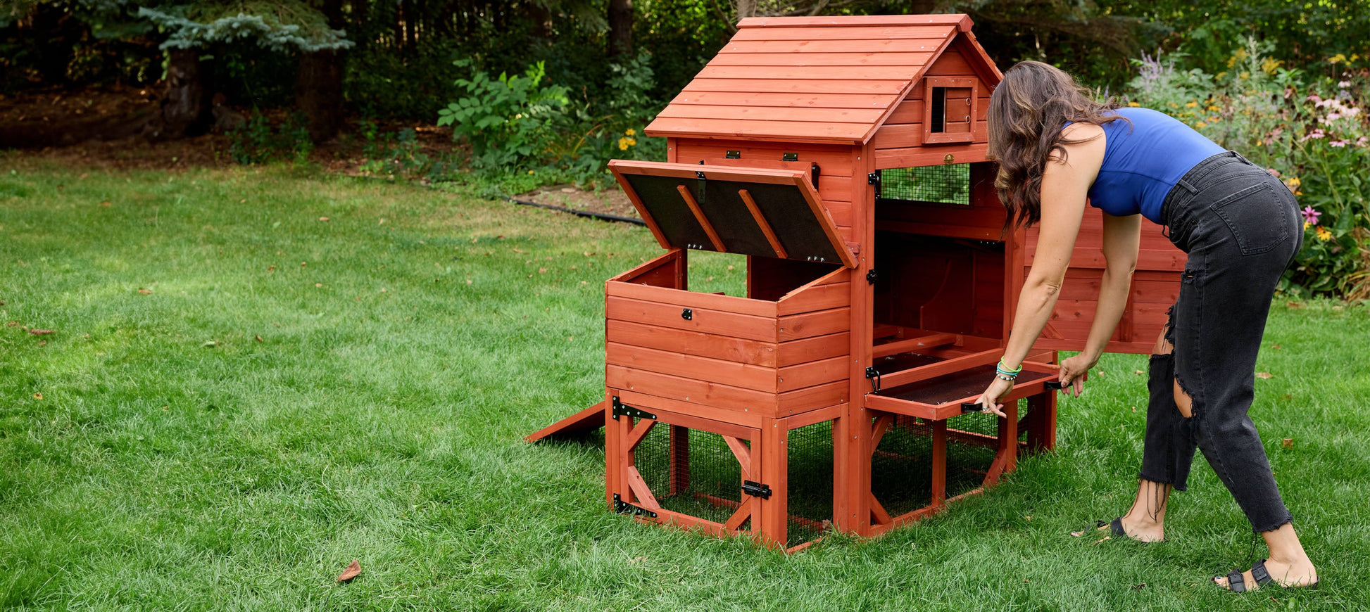 Chicken Coop for 6 Chickens – Orpington Lodge