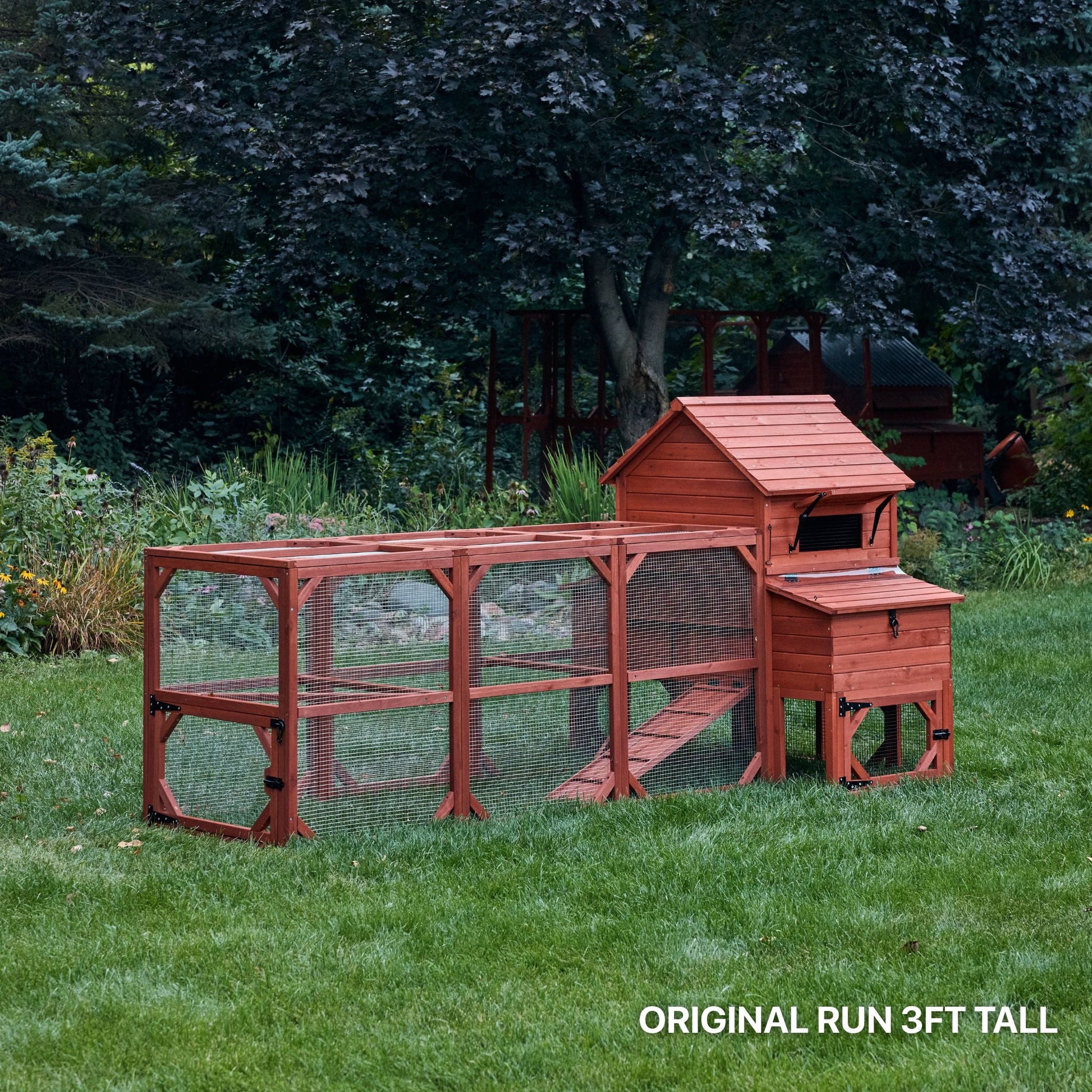 Chicken Coop for 6 Chickens – Orpington Lodge