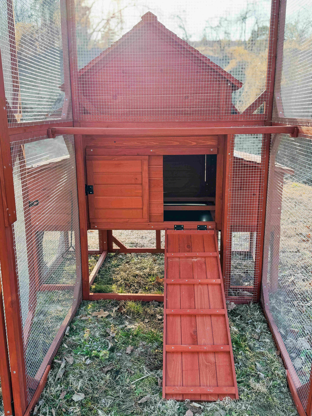 Chicken Coop for 6 Chickens – Orpington Lodge