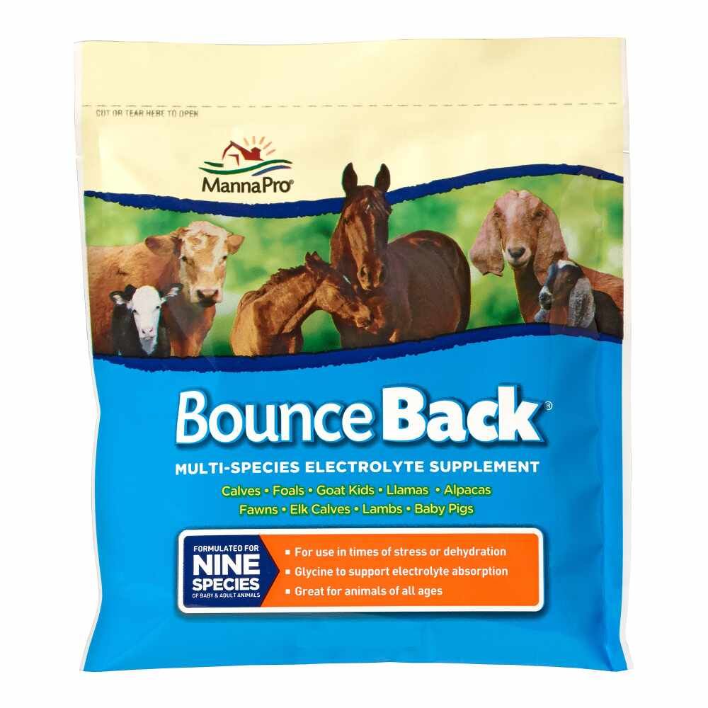 Manna Pro: Bounce Back - 4 LB