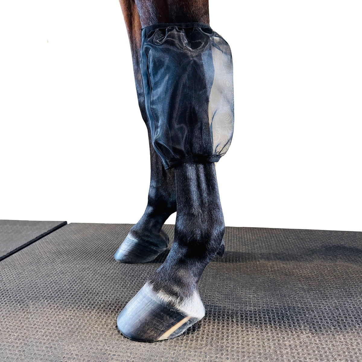 PRO4MANCE | Com4rt Mesh Knee/Pastern Nets
