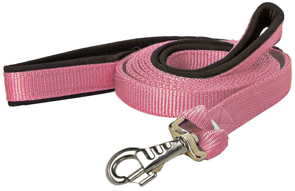 Padded Double Handle Dog Leash w Warranted Snap Design 3/4" x 6'