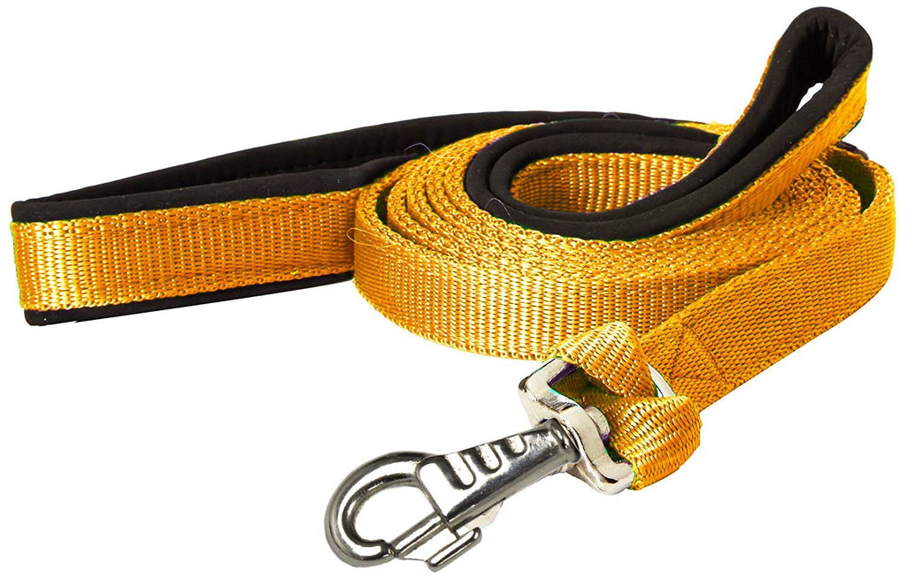 Padded Double Handle Dog Leash w Warranted Snap Design 3/4" x 6'