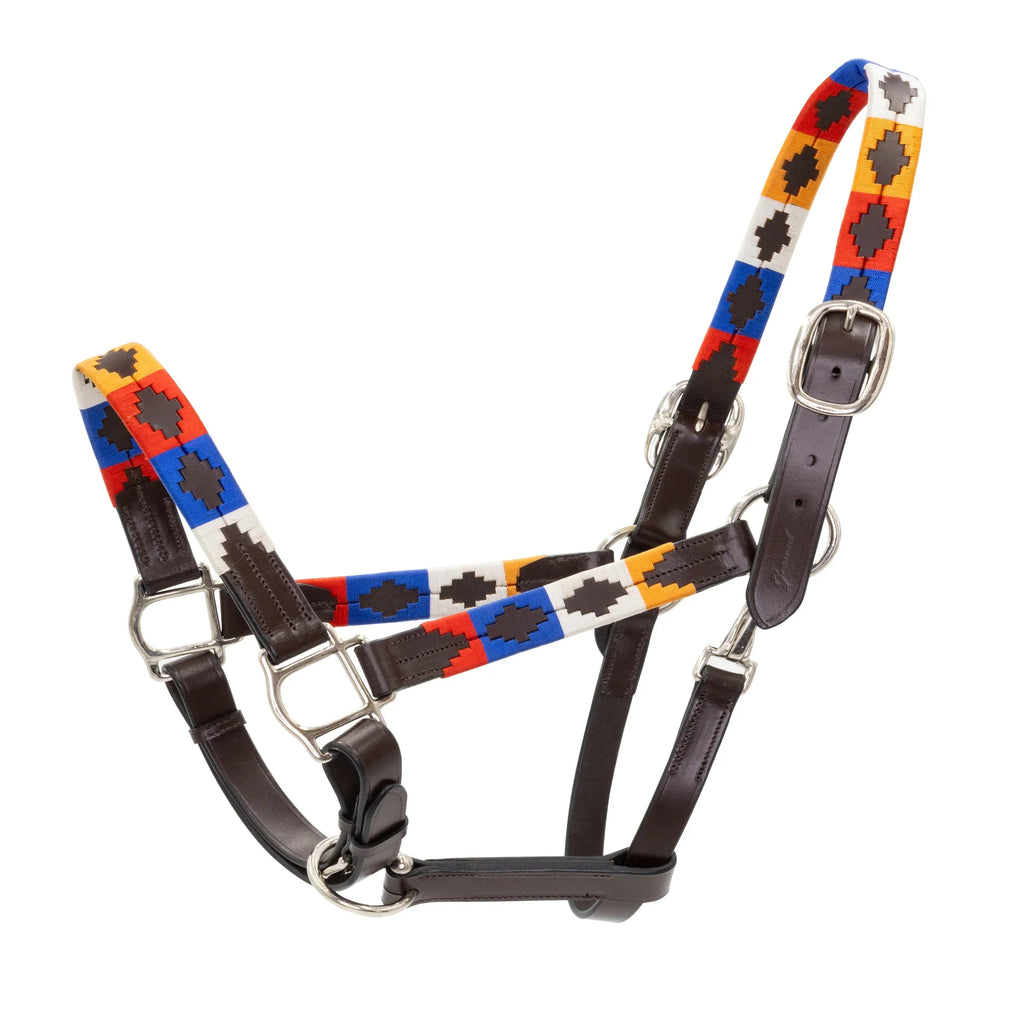 Pampa Argentine Halter