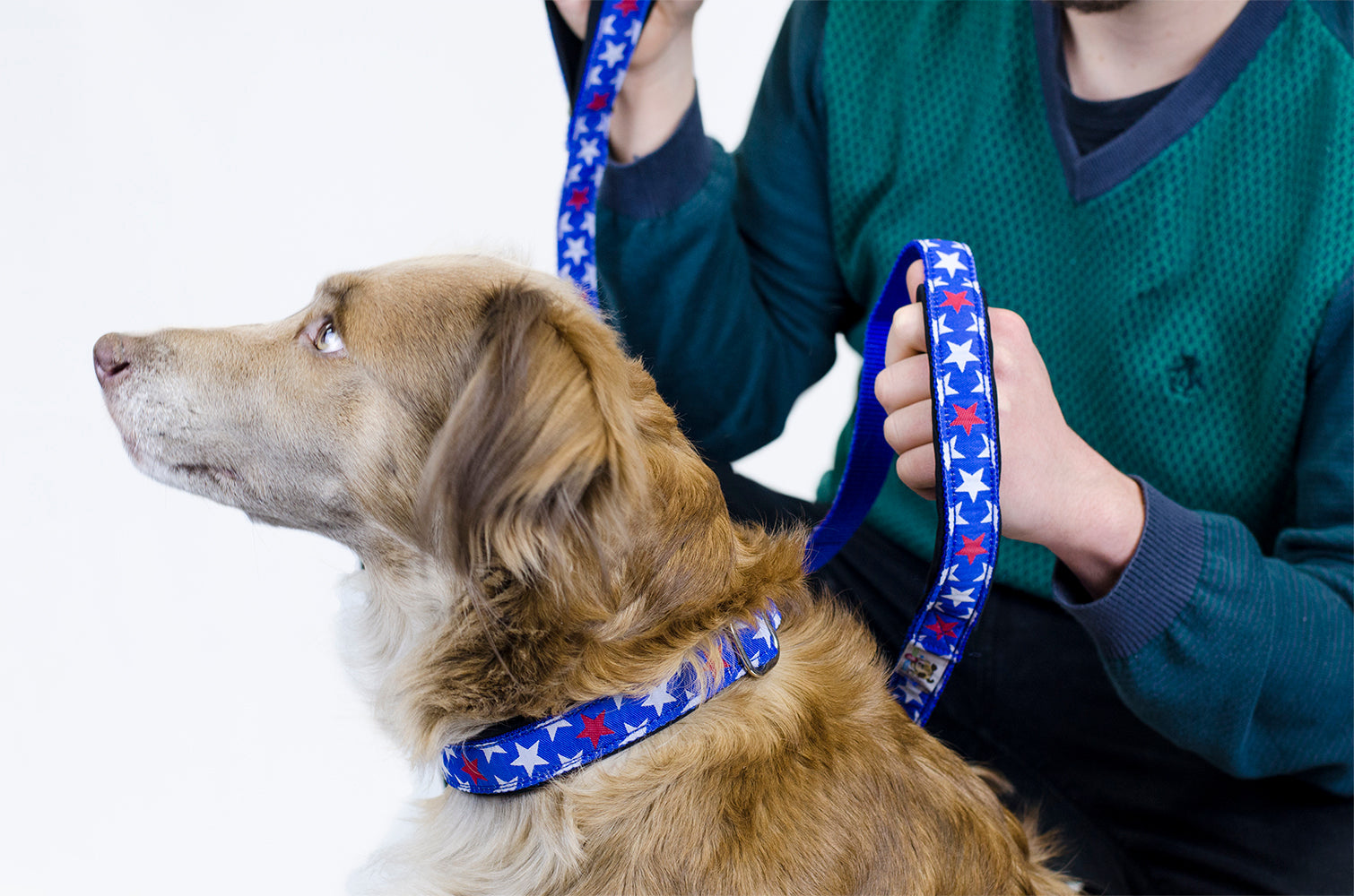 cuteNfuzzyÂ® Padded Adjustable Patterned Dog Collar with Warranty
