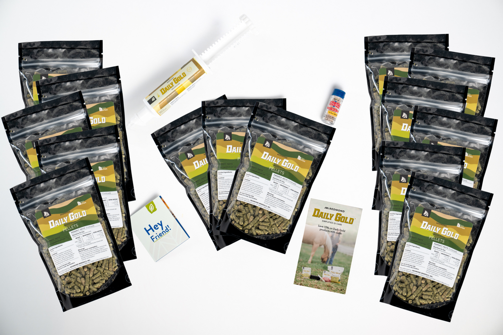 Daily Gold® - Horse Gut Supplements