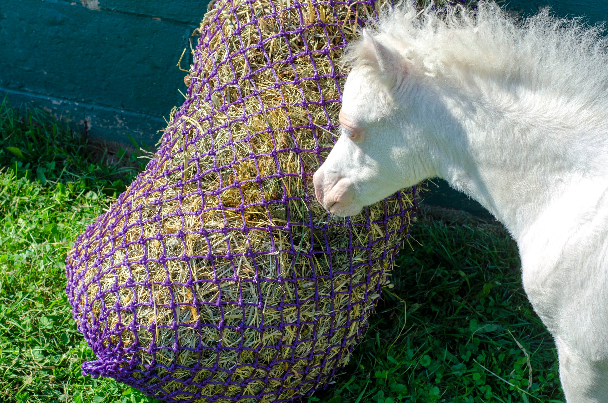 Derby Originals 56” Ultra Slow Feed 1.5" Holes Hay Net Holds about 4 Flakes for Horses