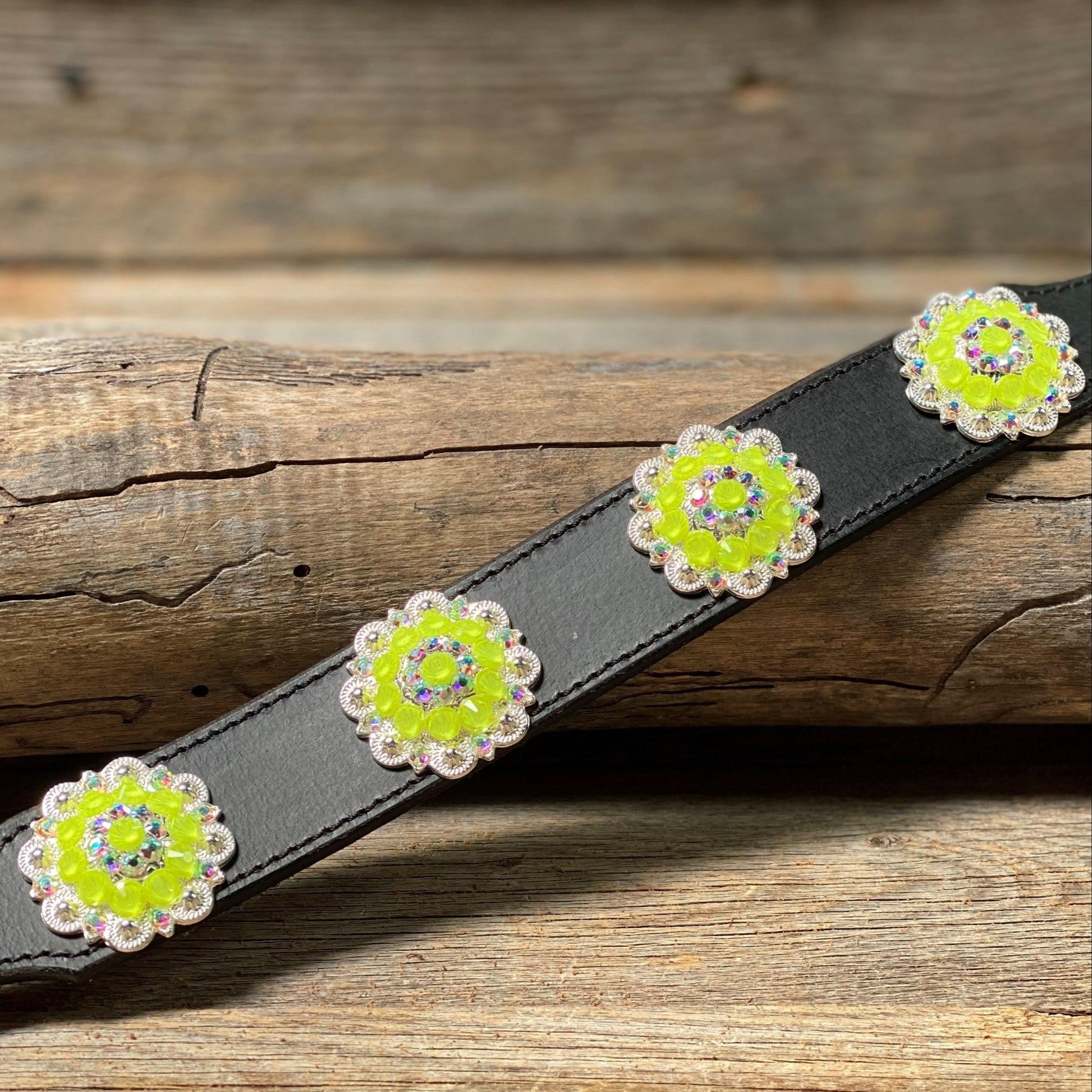 DC18- Neon Concho Dog Collar