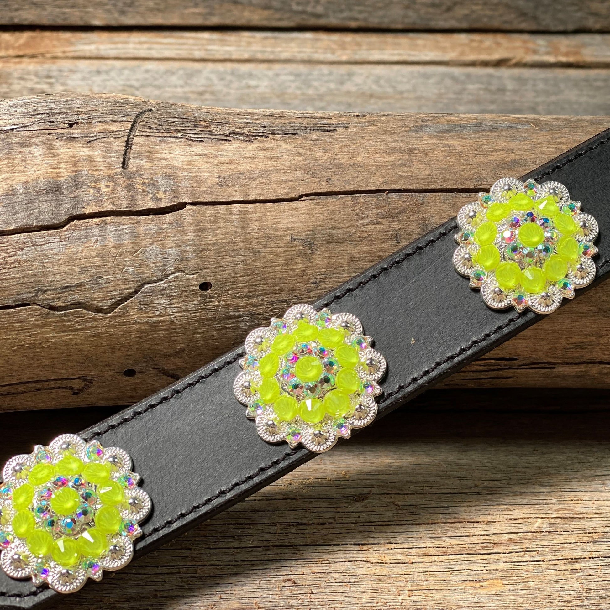 DC18- Neon Concho Dog Collar