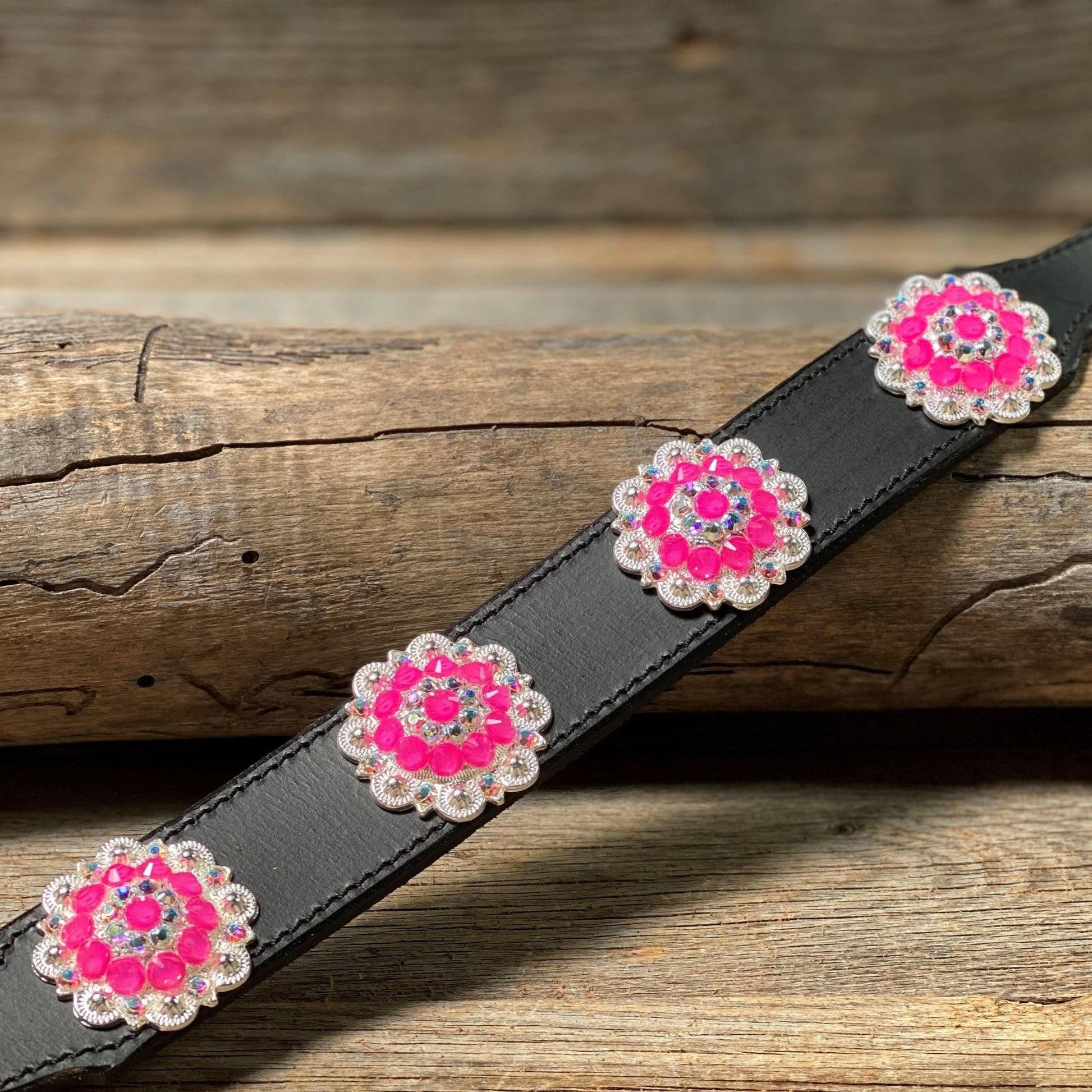 DC18- Neon Concho Dog Collar