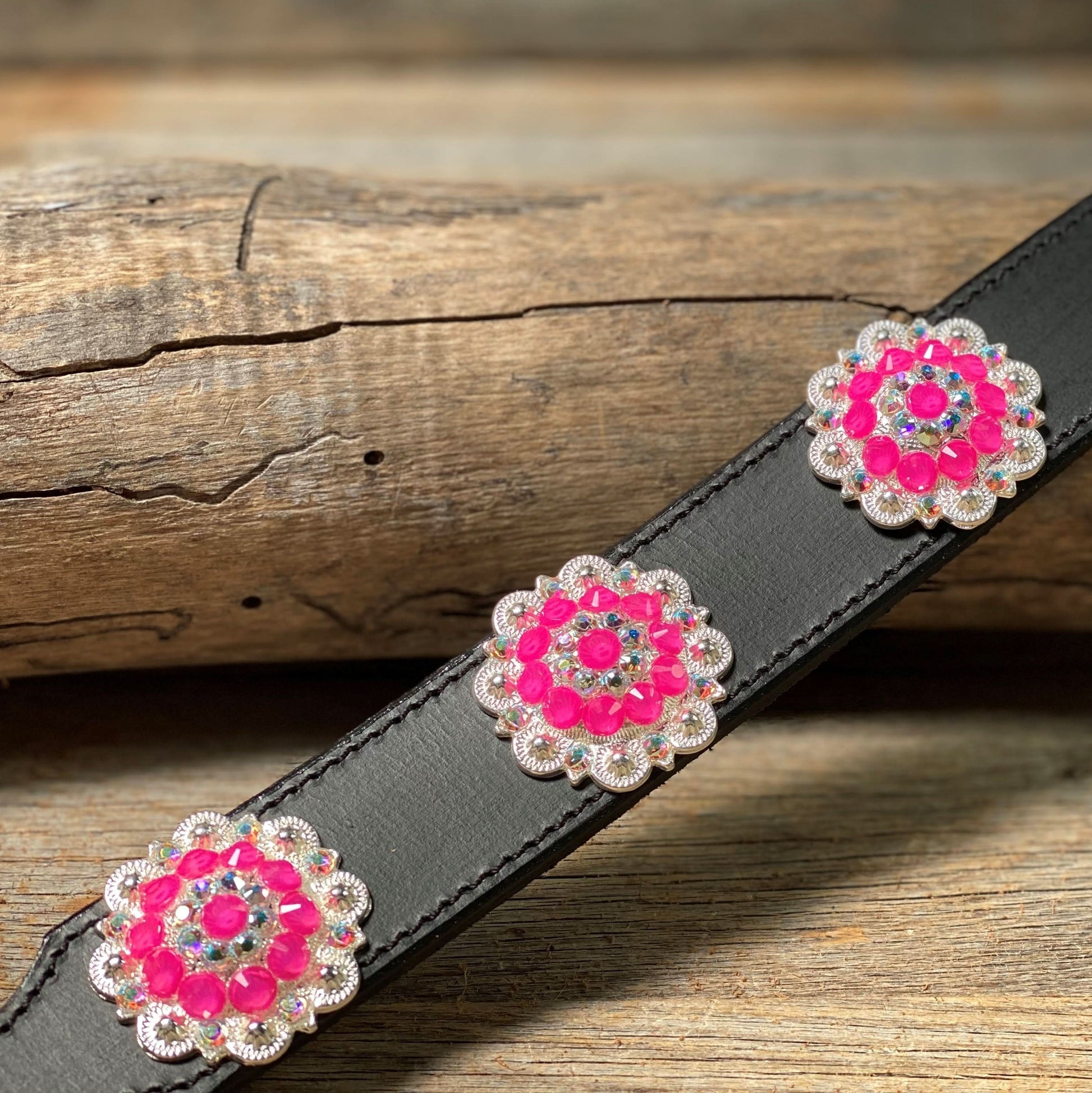 DC18- Neon Concho Dog Collar