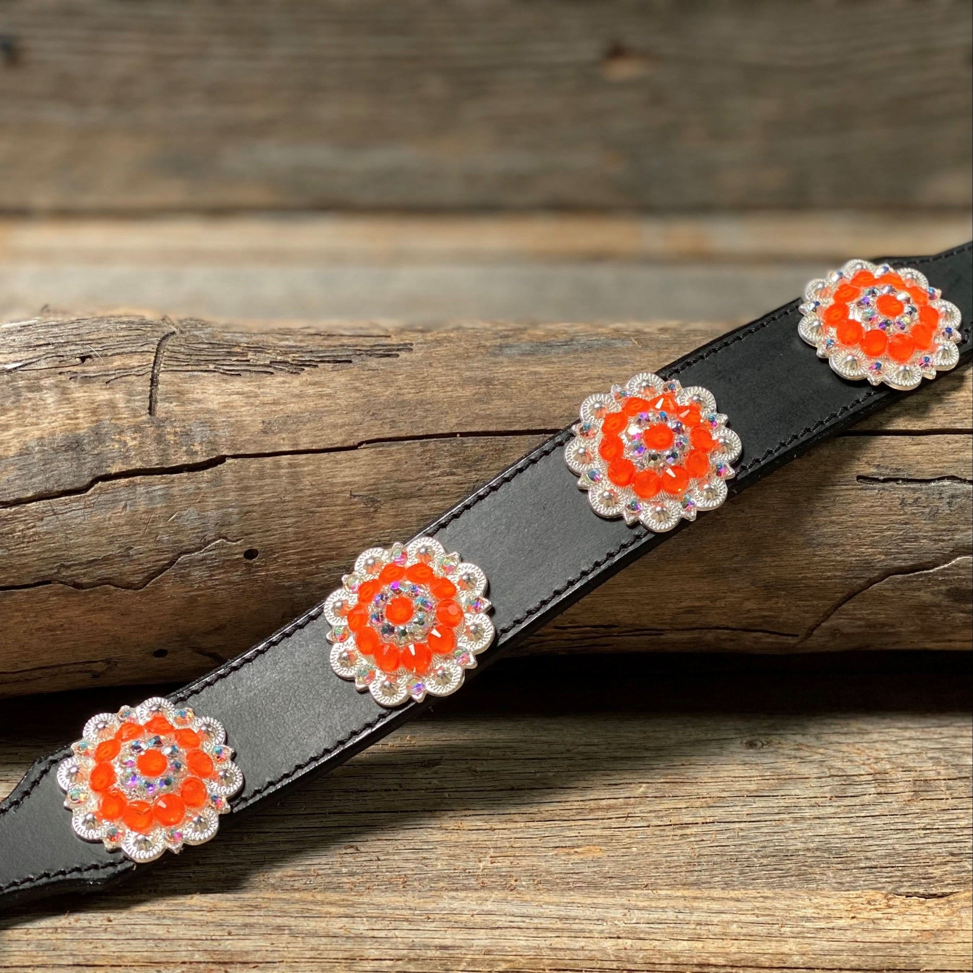 DC18- Neon Concho Dog Collar