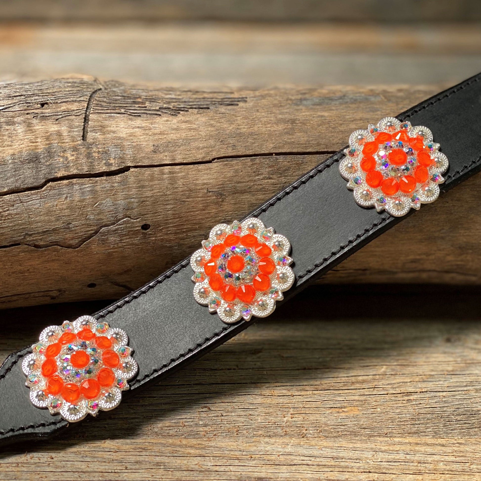 DC18- Neon Concho Dog Collar