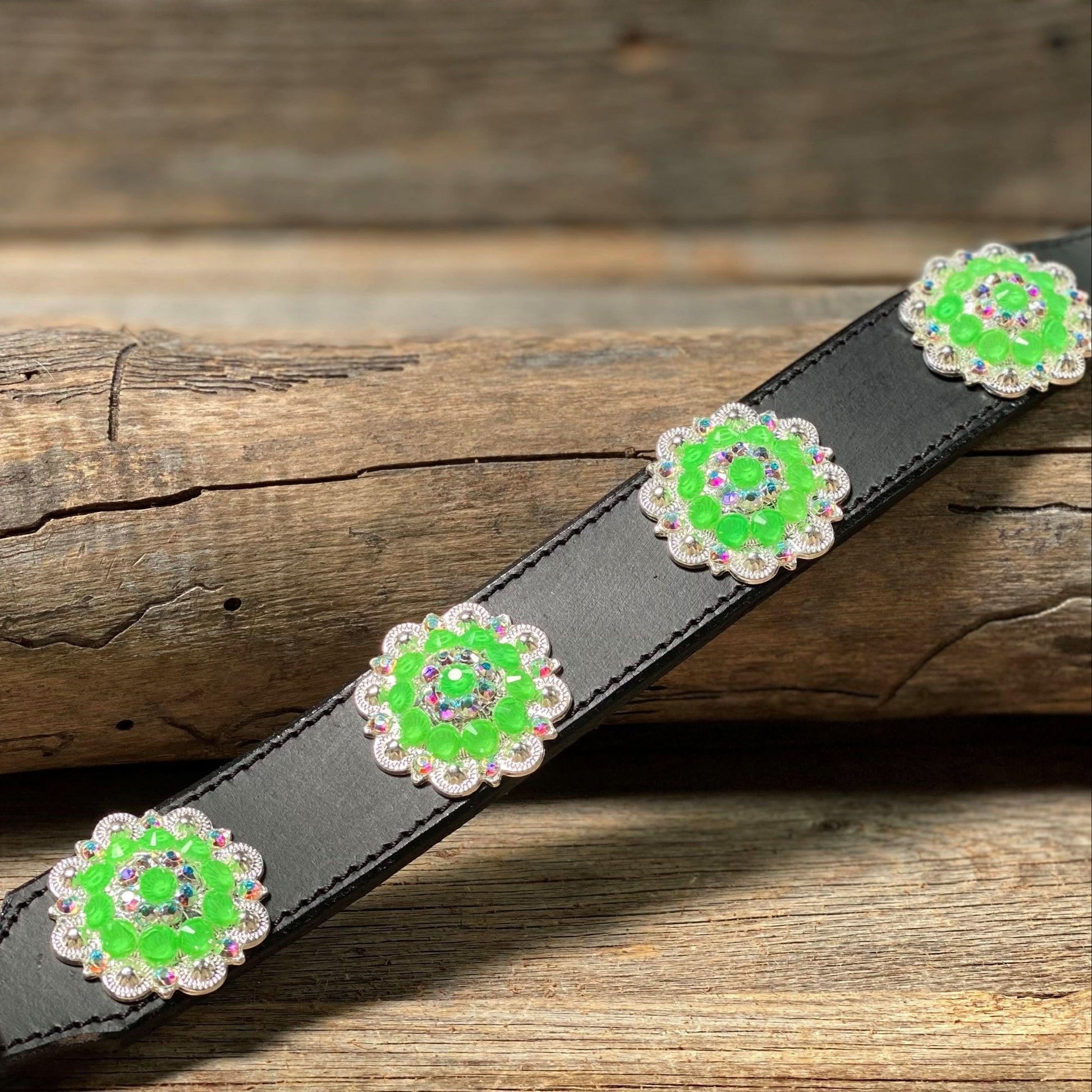 DC18- Neon Concho Dog Collar