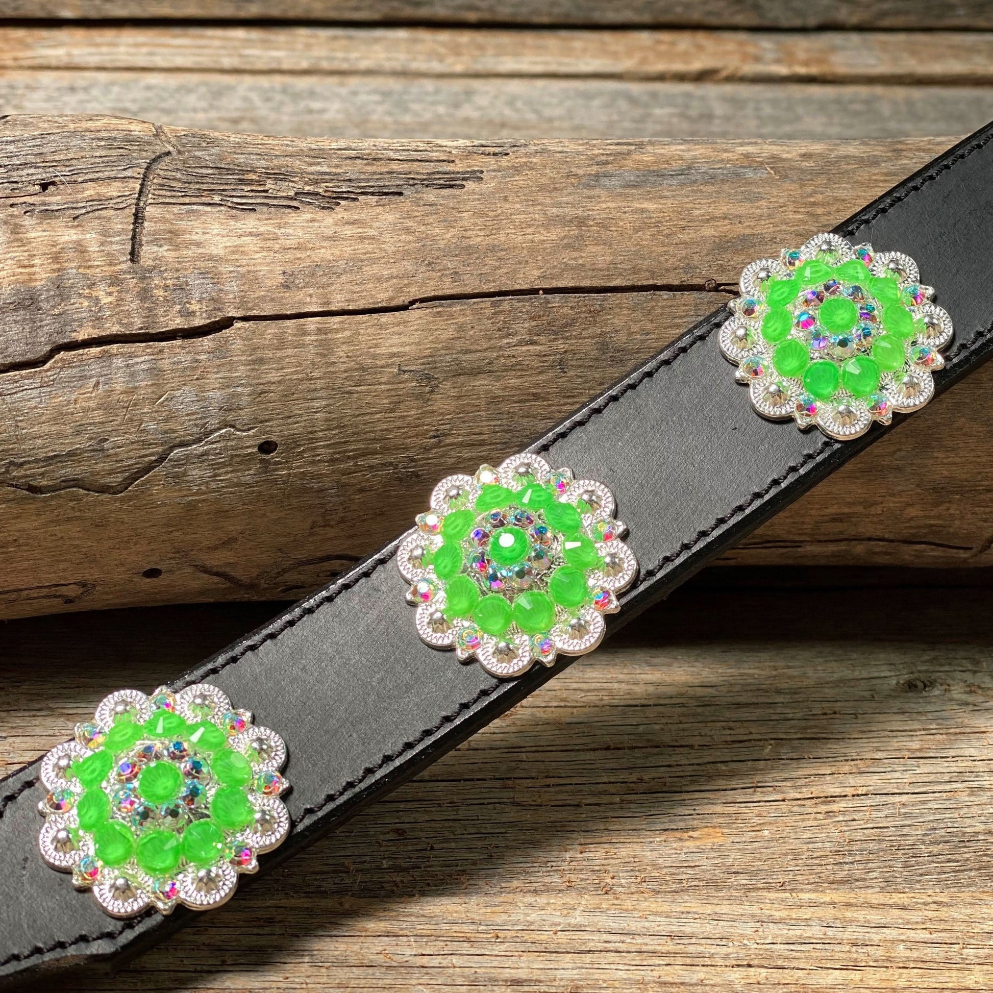 DC18- Neon Concho Dog Collar