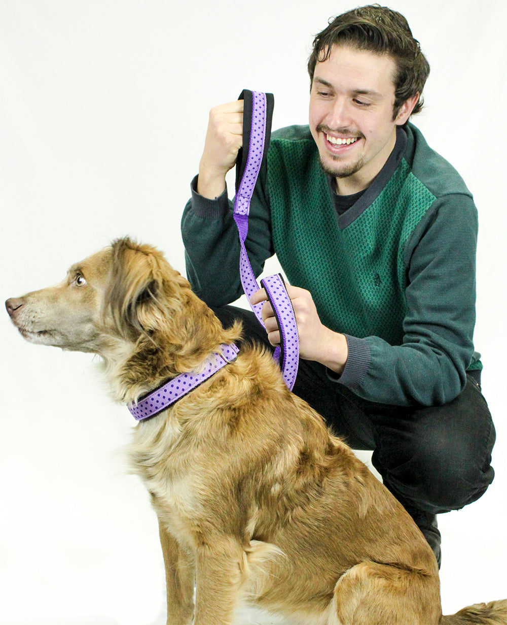 cuteNfuzzyÂ® Padded Adjustable Patterned Dog Collar with Warranty