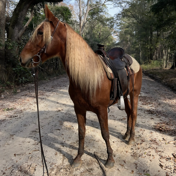 3-in-1 Pony Perfector Leave-in Remedy