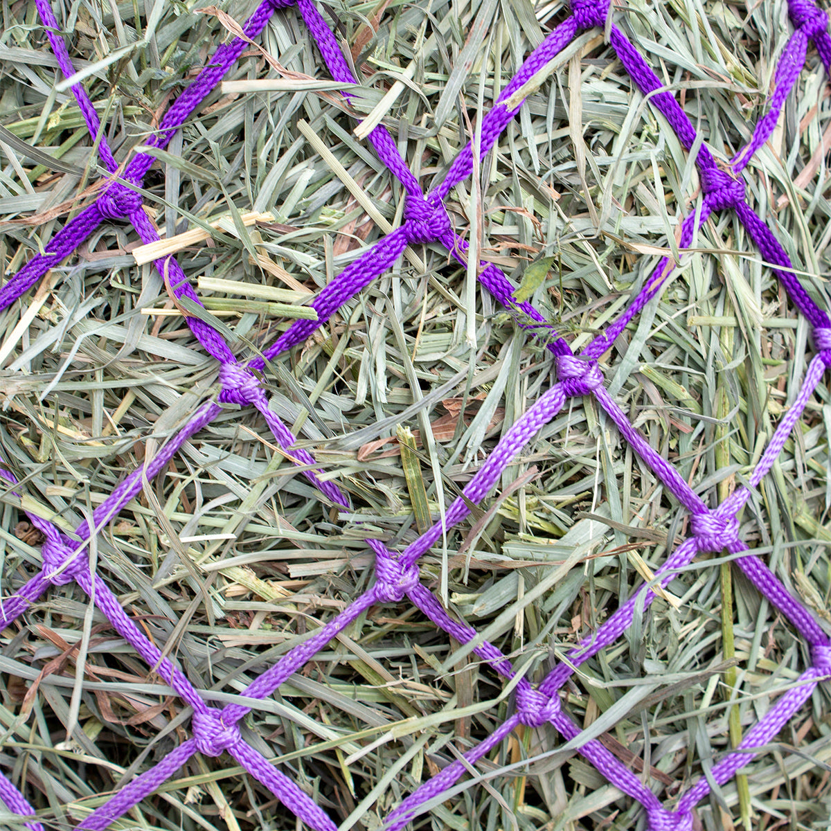 Derby Originals Set of 2 Superior Slow Feed 56" Soft Mesh Hanging Hay Net for Horses