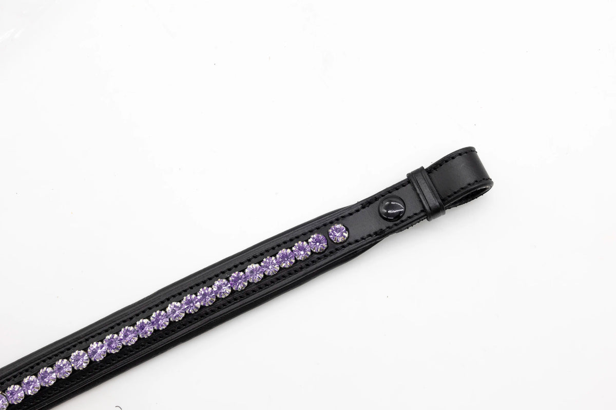 Purple Passion Browband