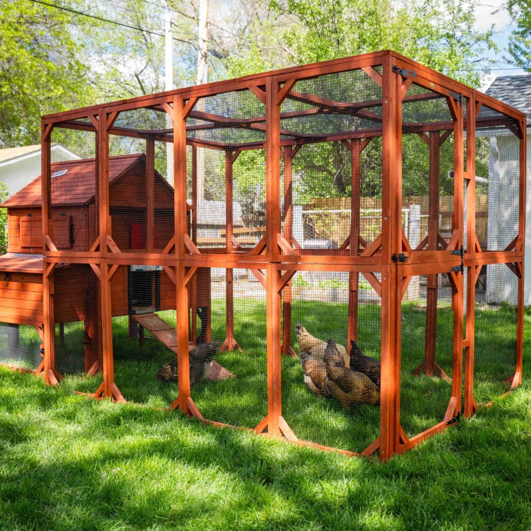 Chicken Coop for 10 Chickens – Rhode Island Homestead Coop with Run Extension Options