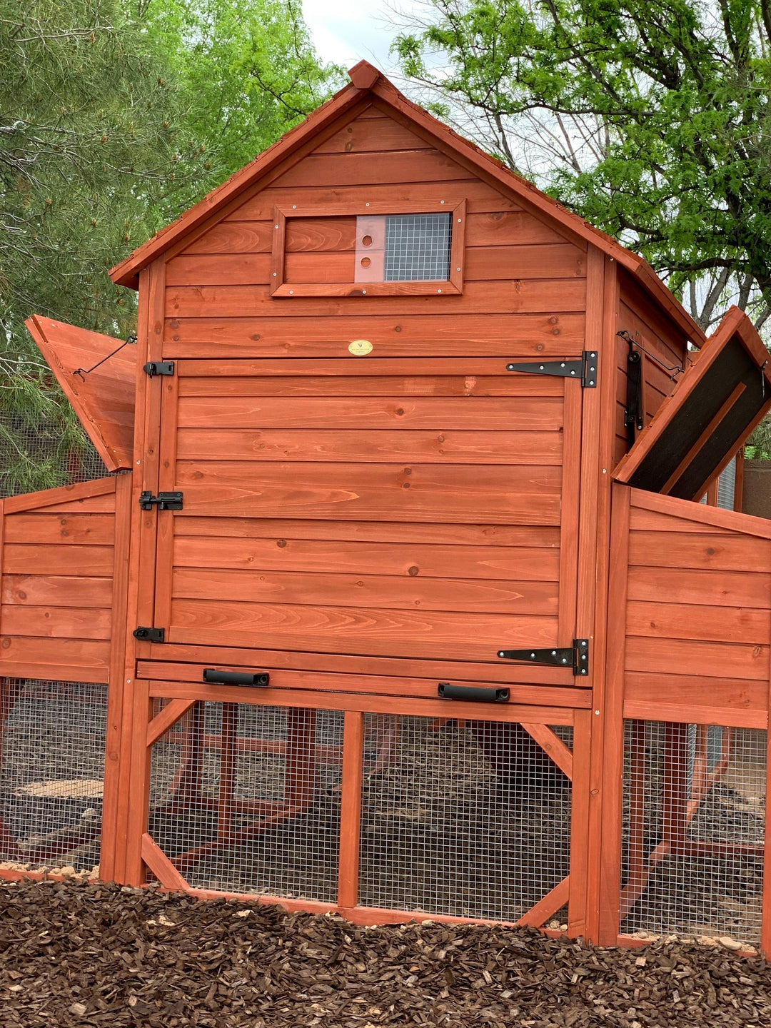 Chicken Coop for 10 Chickens - Rhode Island Homestead (Hen House Only)