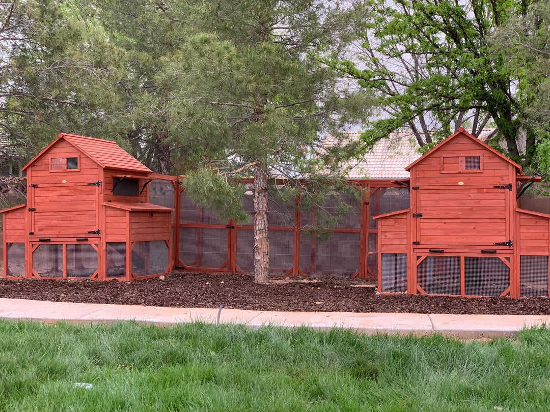 Chicken Coop for 10 Chickens – Rhode Island Homestead Coop with Run Extension Options