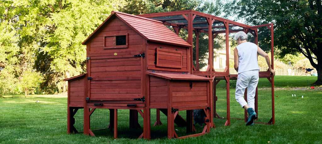 Chicken Coop for 10 Chickens - Rhode Island Homestead (Hen House Only)