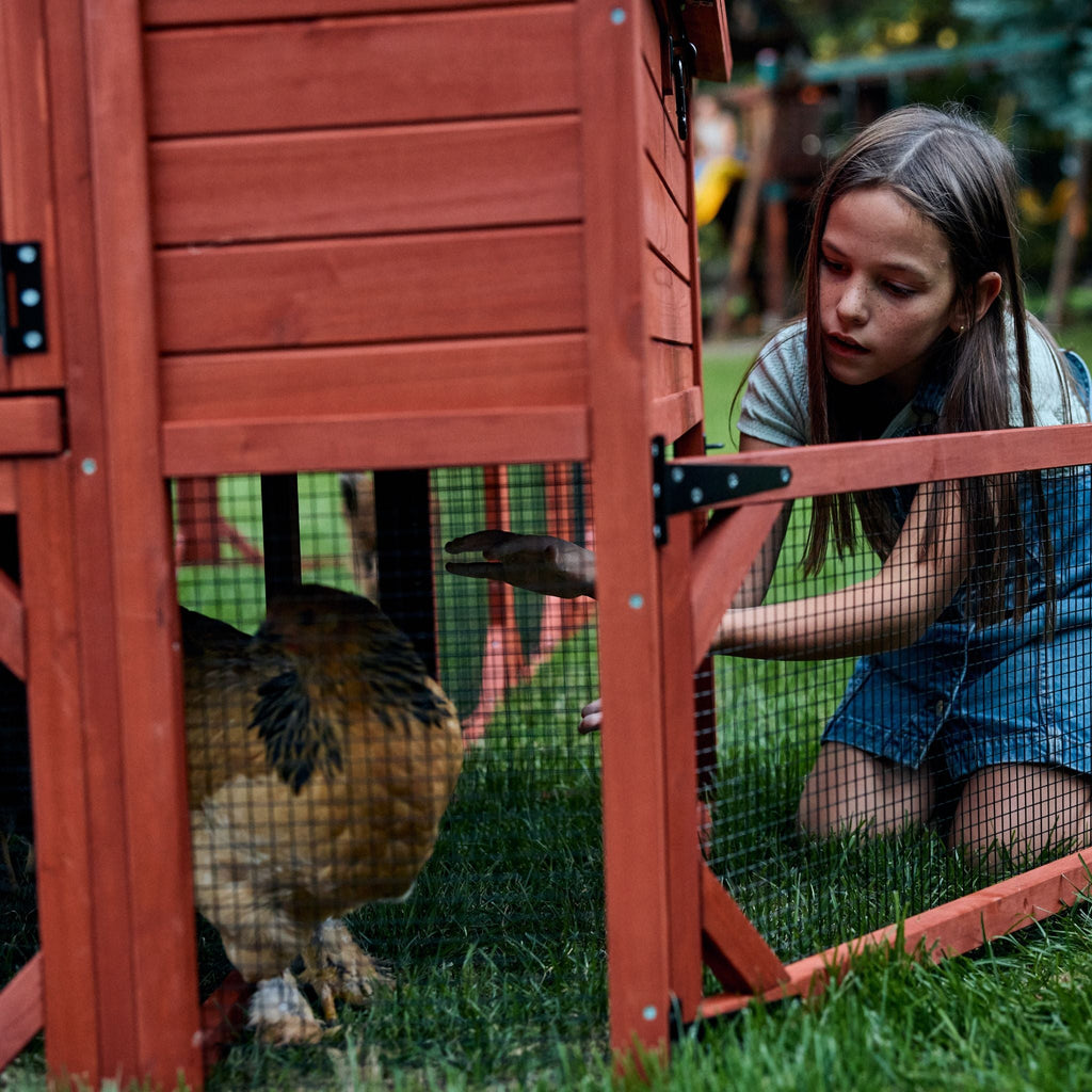 Chicken Coop for 10 Chickens - Rhode Island Homestead (Hen House Only)