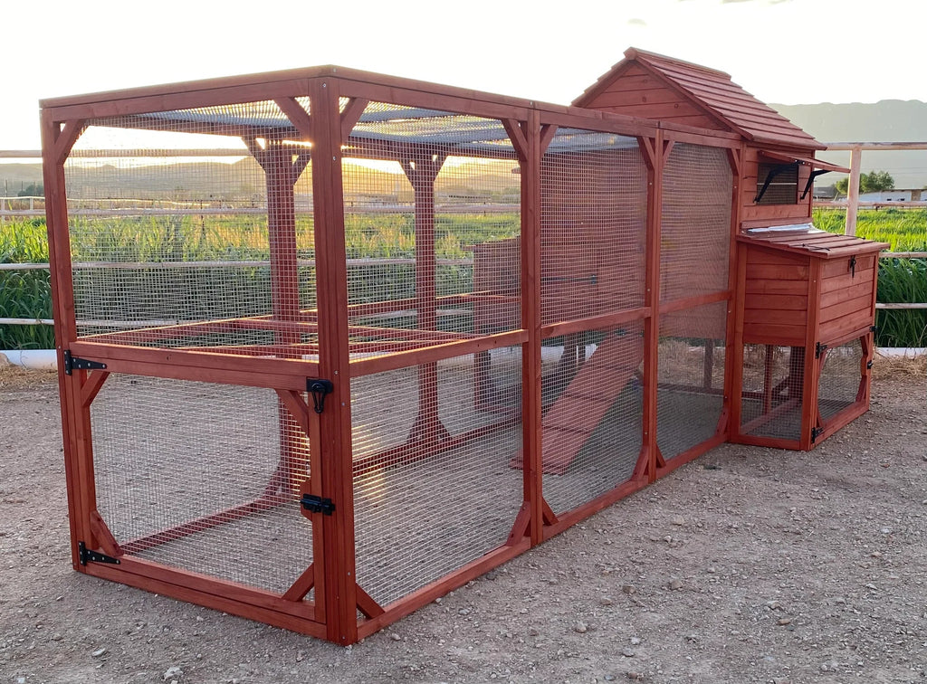 Chicken Coop for 10 Chickens – Rhode Island Homestead Coop with Run Extension Options