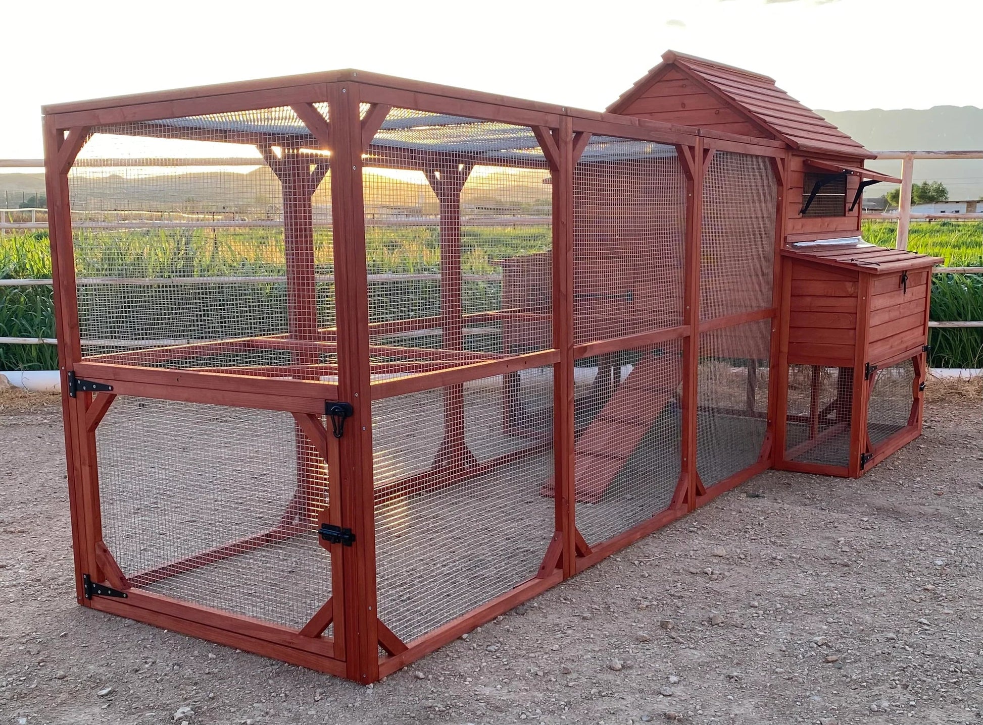 Chicken Coop for 10 Chickens – Rhode Island Homestead Coop with Run Extension Options