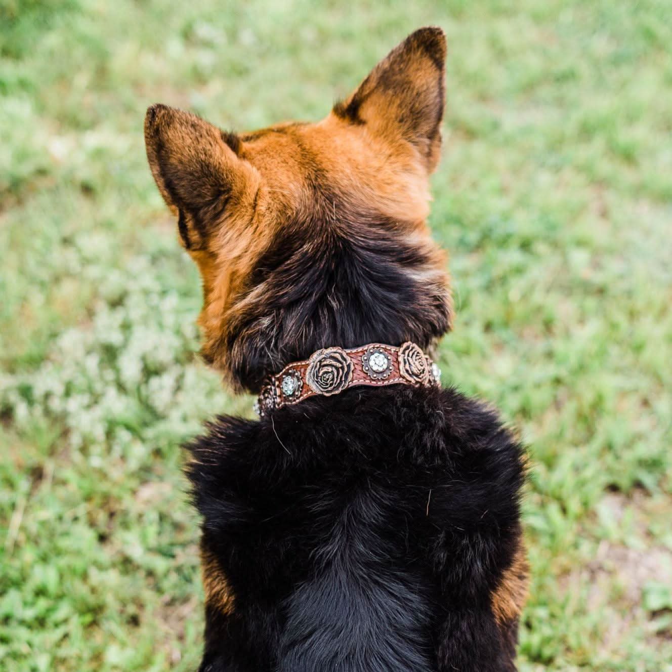 DC30 Copper Rose Dog Collar With Clear European Crystals