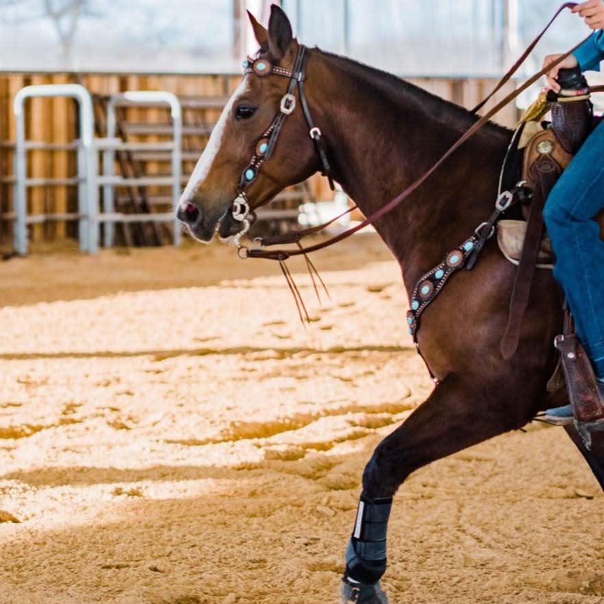 Dark Oil Floral Copper Dot Turquoise Cabochon Browband / Breastcollar Tack Set #BBBC508