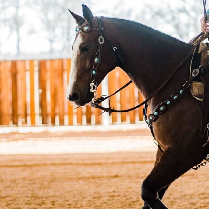 Dark Oil Floral Copper Dot Turquoise Cabochon Browband / Breastcollar Tack Set #BBBC508