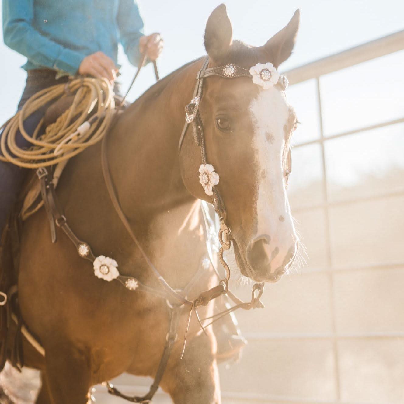Dark Oil Basketweave White Browband/One Ear Tack Set with Witherstrap  #BBBC453