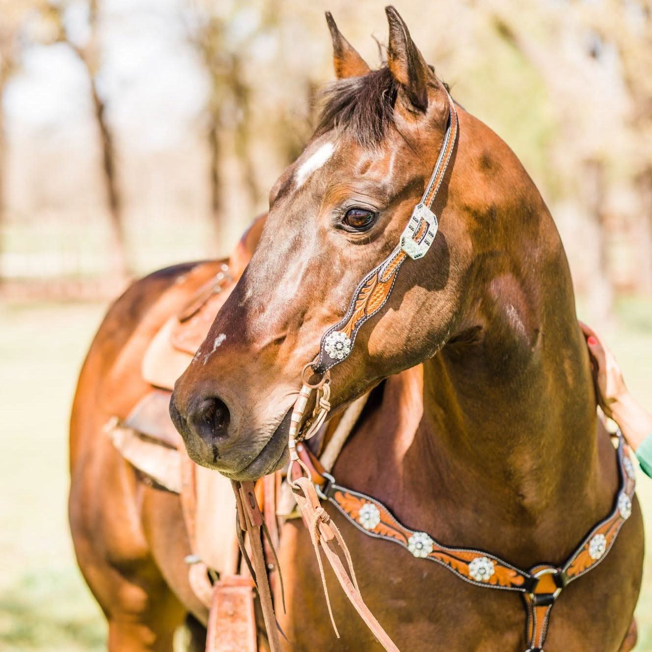 Two Tone Leaf Jet and Clear One Ear & Breastcollar Tack Set #OEBC543