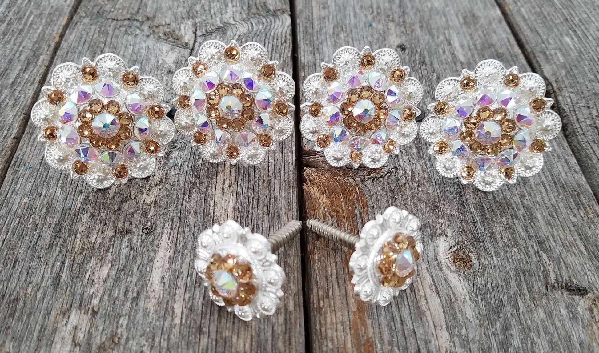 Bright Silver Champagne & AB Saddle Conchos