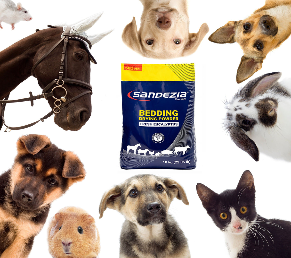 Sandezia Bedding Drying Powder - Order Eliminator, Fresh Eucalyptus