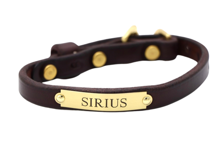 Classic Dog Collar (690)