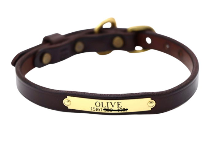 Classic Dog Collar (690)