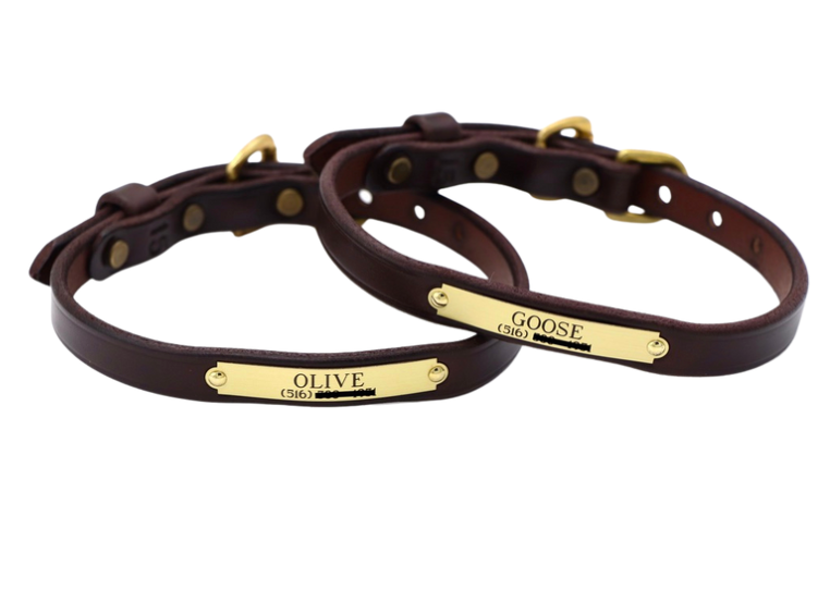 Classic Dog Collar (690)