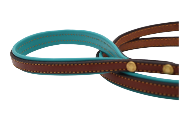 Padded Dog Leash