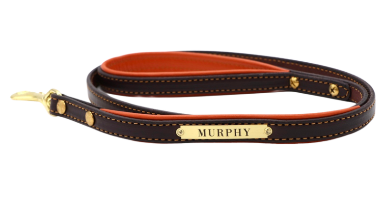 Padded Dog Leash