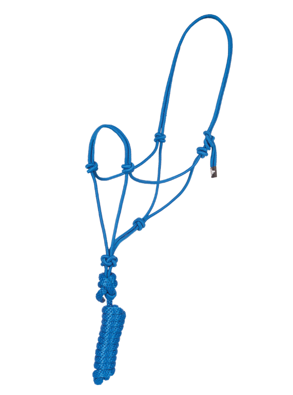 Economy Mountain Rope Halter and Lead - Blue