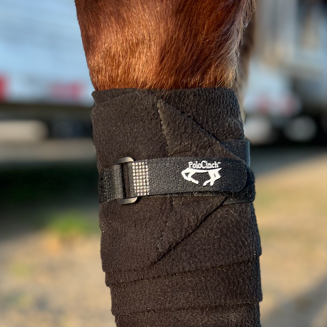 PoloCinch™  - D-Ring Polo Wrap Guards