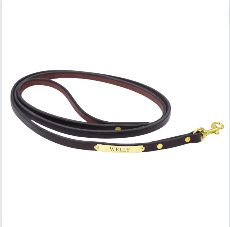 Classic Dog Leash (695)