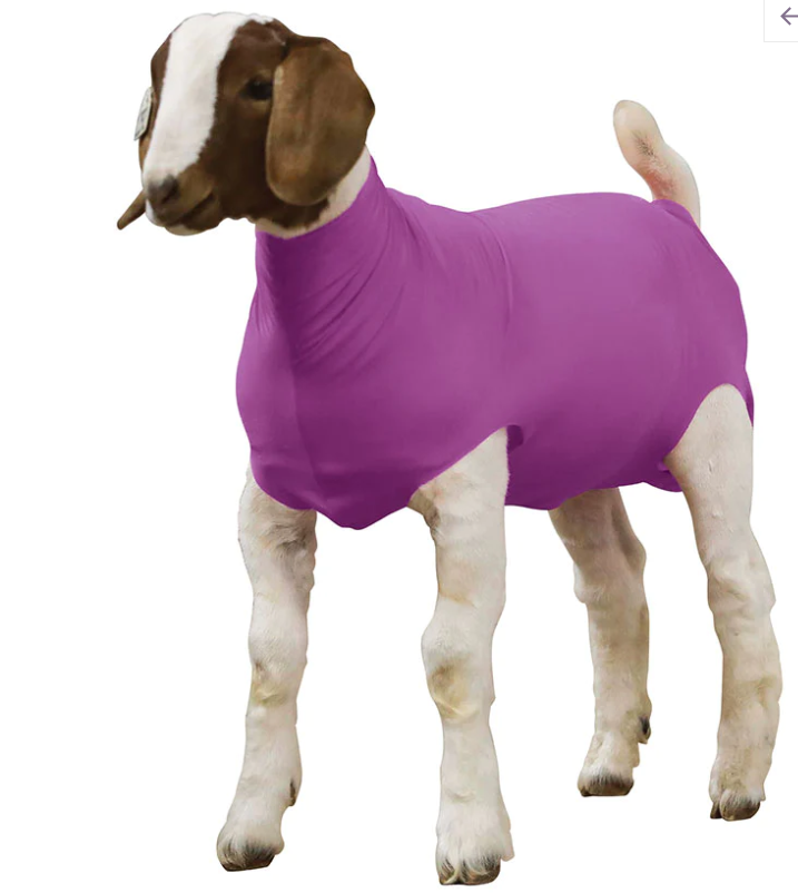 SHEEP Spandex Tube - LARGE PURPLE